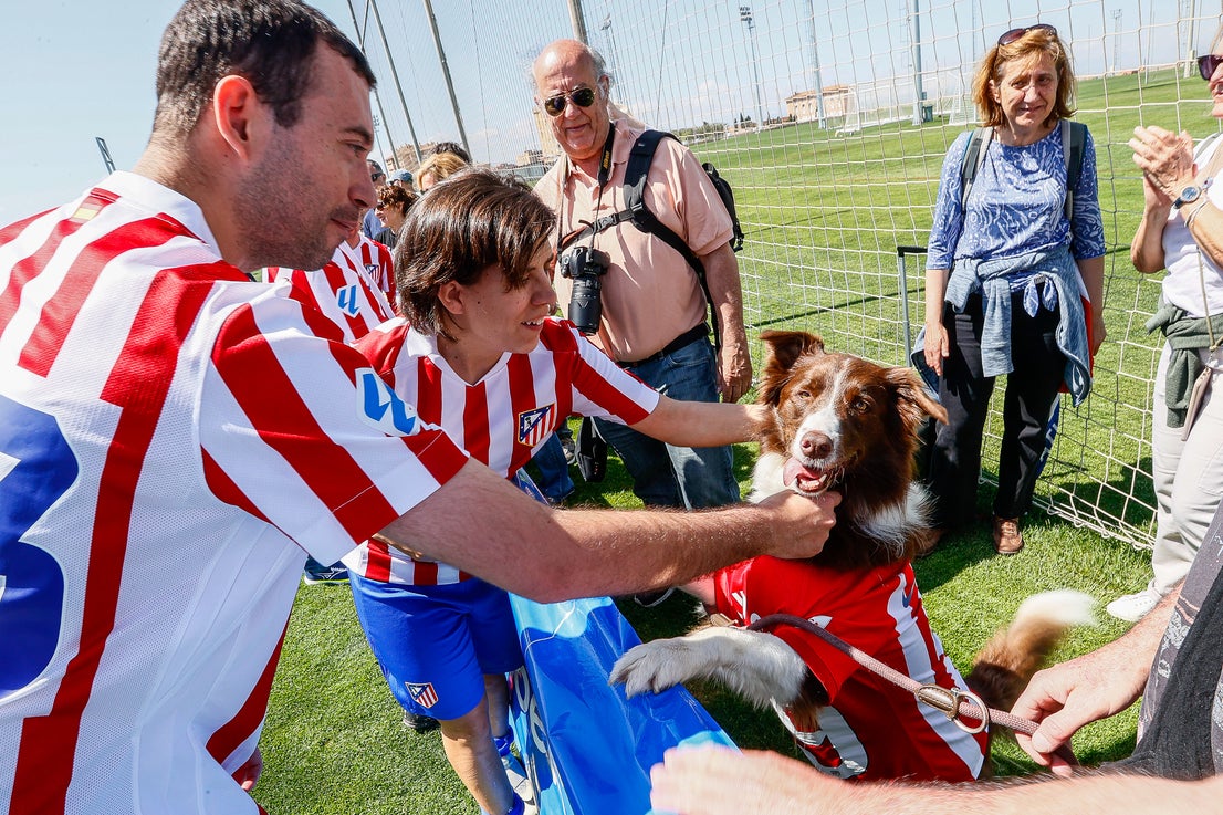 Todas las imágenes de Liga Genuine en Granada