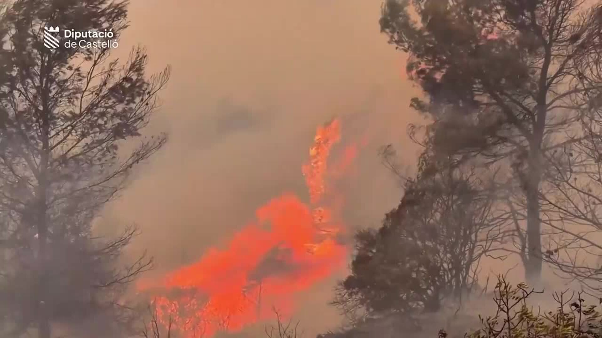 Un incendio forestal en Soneja ( Castellón) obliga a movilizar a diez medios aéreos