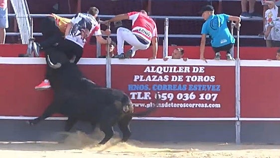 Un joven granadino sufre una cornada grave de tres trayectorias en los encierros de Calasparra