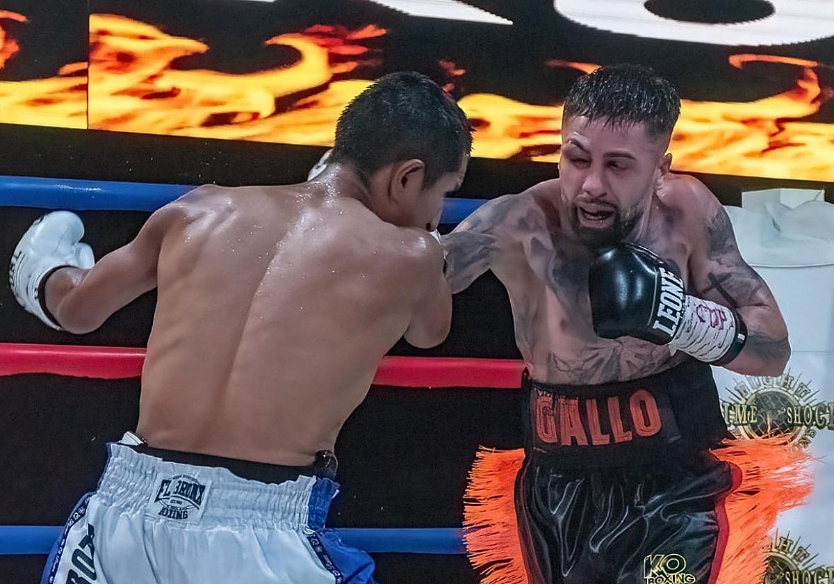 Gallo llega con la derecha el rotro de 'El Bravo'.