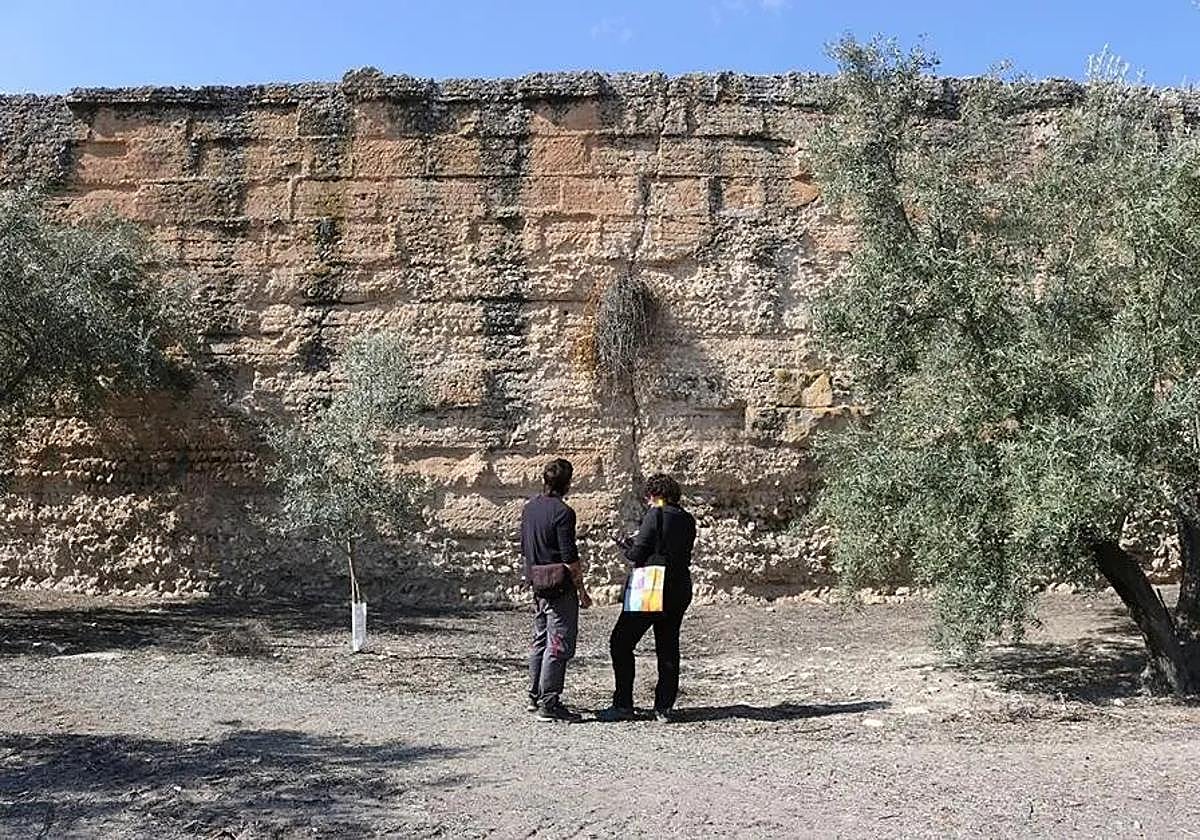Nuevos hallazgos en la antigua Hispania: la tecnología revela los secretos de la Colonia Salaria