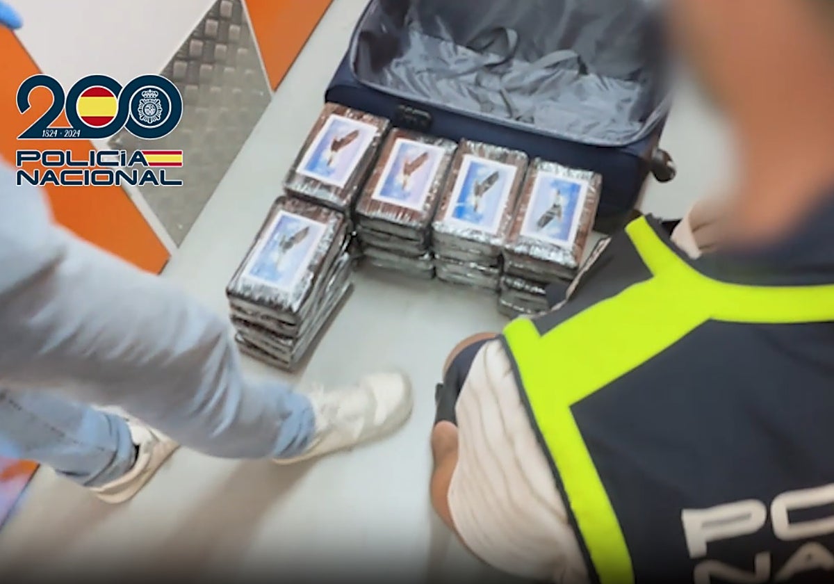 Parte de la mercancía localizada en los registros.