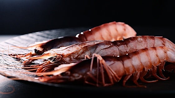 ¡A la rica gamba roja!: gana el que más coma
