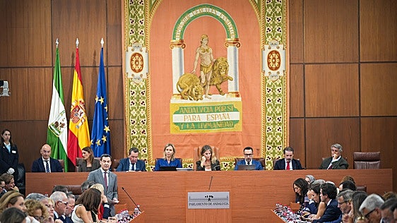 Los grupos parlamentarios ven el proyecto como una oportunidad para reforzar la presencia de Andalucía en Europa