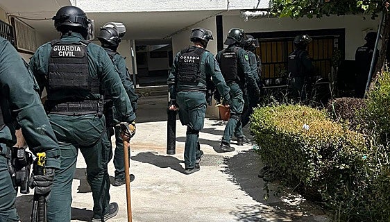 La Guardia Civil entra en Pinos Puente y Fuente Vaqueros en una macrorredada e incauta 5.507 plantas de maría