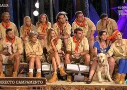 Concursantes del programa 'Campamento de verano'. / Foto: Telecinco