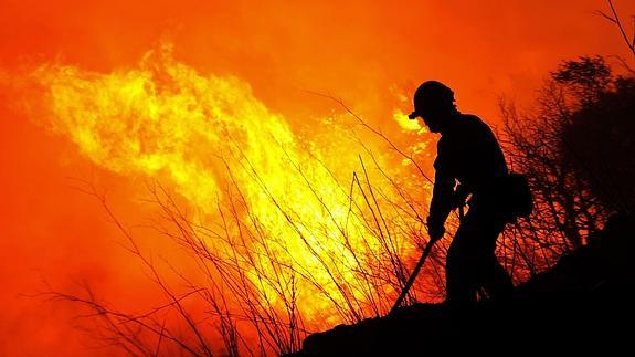 Labores de extinción de un incendio forestal. 
