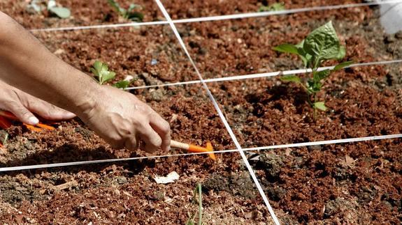 Empleaverde aumenta las competencias ambientales y fomenta la ecoinnovación.