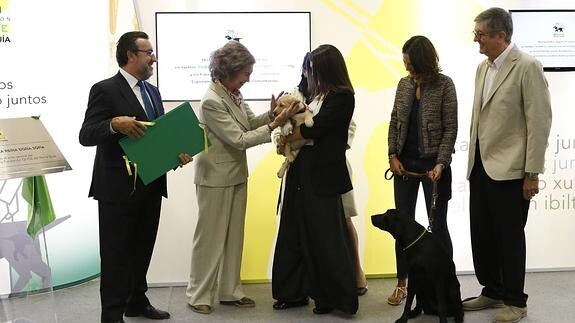 La Reina Sofía y el presidente de la ONCE, Miguel Carballeda, entregan un diploma a una familia que acoge perros guía.