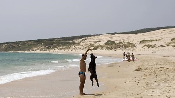 Un hombre juega con su perro en la playa de Valdevaqueros, en Tarifa (Cádiz).