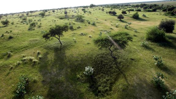 Vista aérea de la pradera que se extiende a lo largo de la orilla del Lago Chad.