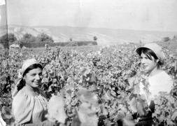 Encarni Rodríguez y su hermana en la vendimia francesa en los años 70