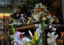Centros en una floristería de Granada para el Día de Todos los Santos :: M.A.R.