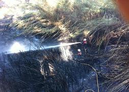Los bomberos sofocando el fuego.: MANUEL BÉJAR
