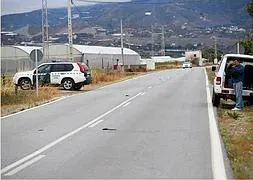 Una de las zonas en la que aparecieron los pájaros, aplastados sobre la carretera. :: JAVIER MARTÍN