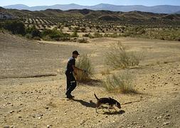 ‘Yara’, la perra de los bomberos accitanos, rastrea la zona. :: Torcuato Fandila
