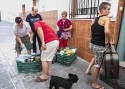 Los afectados, a quien nadie recogió, iban a trabajar recogiendo frutas en invernaderos. :: A. AGUILAR