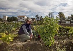 Bernardo Sánchez, en el huerto con la ciudad al fondo. :: GONZÁLEZ MOLERO