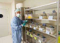 Mario Delgado, en el animalario del CSIC, ubicado en el PTS, donde comenzó a experimentar con células madre de grasa. :: GONZÁLEZ MOLERO