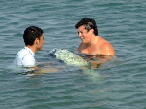 EN ALMERIMAR. Delfín varado en la costa de El Ejido que seguía un tratamiento en el mar. /IDEAL