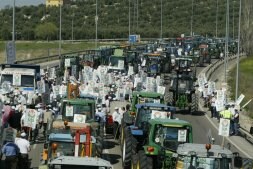Tractorada de olivareros llevada a cabo por UPA-Jaén. /IDEAL