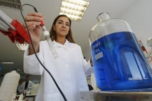 Carmen Vela, presidenta de la Asociación de Mujeres Investigadoras (AMIT), denuncia que «se nos excluye de los círculos de poder». / J. R. LADRA