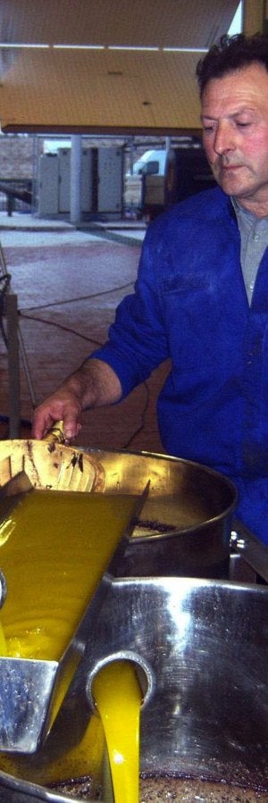 Una gran compuerta cierra los bidones de una almazara. ::                             IDEAL