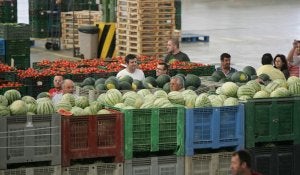 Instalaciones de AgrupaEjido momentos previos a la celebración de una subasta. :: J. E. R.