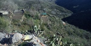 Vista de Sierra Cabrera y del vivero (toldo verde en el centro de la imagen) y plantaciones para reforestar zonas incendiadas hace algo más de un año. :: IDEAL