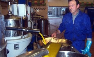 Apoyos. Innovación, Ciencia y Economía ha aportado 1,7 millones para los siete proyectos de Ifapa sobre olivar y aceite de oliva. :: IDEAL