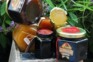 Diferentes tipos de miel granadina, envasada y lista para ser comercializada. :: IDEAL