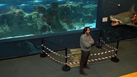El acuario de Almuñécar podría reabrir sus puertas al público el próximo mes