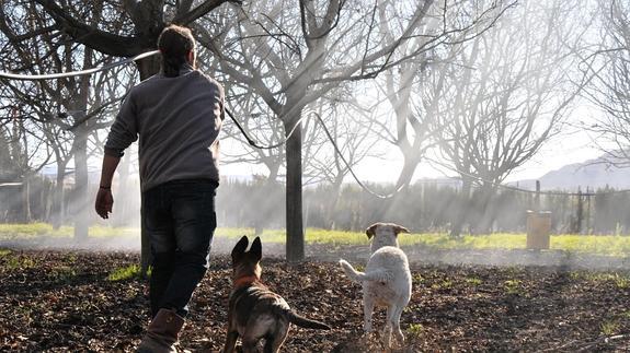 El instructor, Paco Galán Leiva, con sus perros.