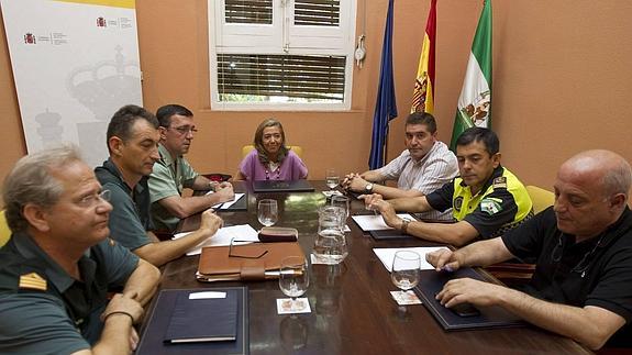 La subdelegada del Gobierno en Sevilla preside la junta local de seguridad. 