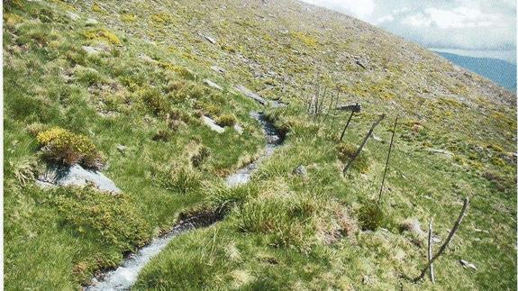 Caudal del nacimiento de agua, motivo del conflicto 