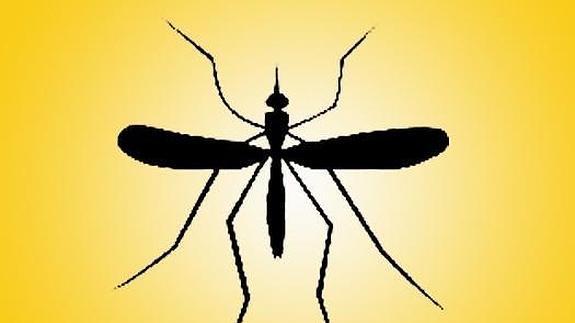 Las nuevas app antimosquitos, solución para dormir a gusto en verano
