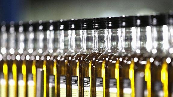 Jaén incrementa en un 272 por ciento la exportación de aceite de oliva