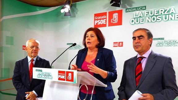 "La A-7 no estará terminada en 2015", asegura el PSOE