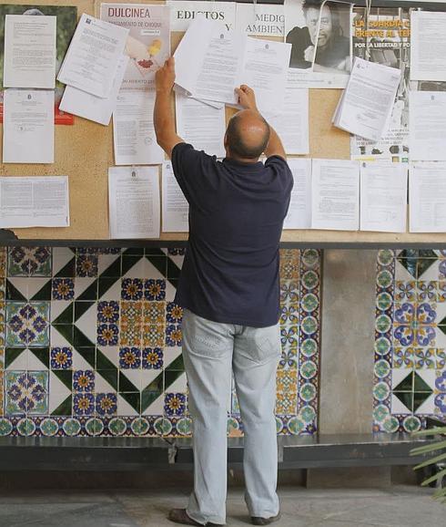 Un ciudadano consulta un tablón en el patio del Ayuntamiento de Granada 