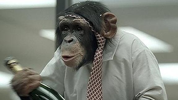 Chimpancés, gorilas y humanos pueden consumir cantidades moderadas de alcohol sin enfermar.