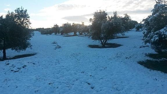 Así ha amanecido el pueblo de la Malahá.