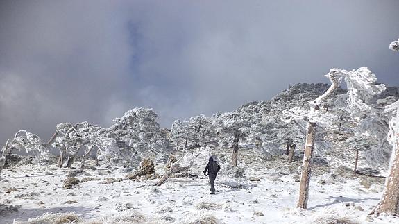 Imagen del fin de semana en la subida pico Cabañas por la sierra del Pozo.