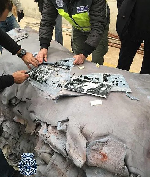Intervenidos 510 kilos de cocaína en un contenedor de piel de bovino procedente de Colombia