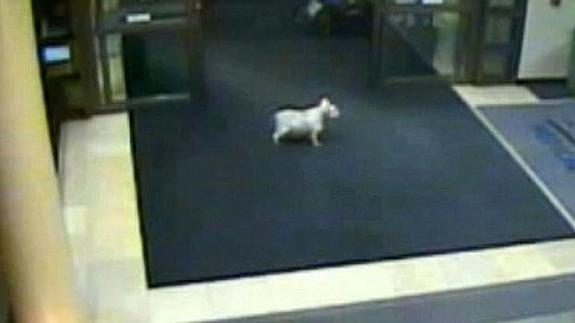 Sissy, en el hospital. 