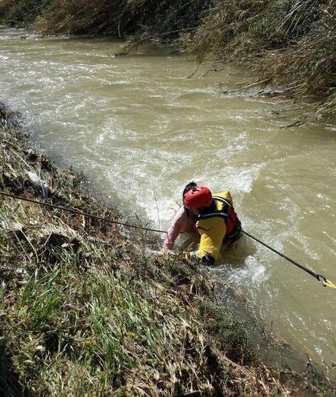 Los bomberos rescatan a una chica que se lanzó al Turia para salvar a uno de sus perros