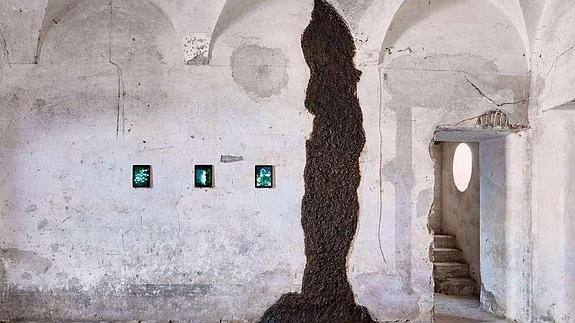Nace en Italia el 'Museo de la Mierda', con excrementos como foco artístico