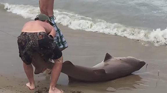 Unos bañistas capturan un tiburón en una playa de California