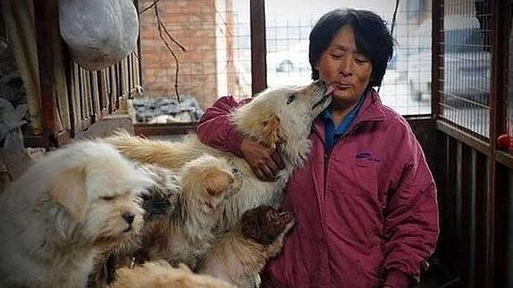 Una china dedica su vida y su dinero a rescatar perros de las carnicerías