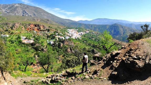 La localidad de Lújar desde el sendero que conduce a la sierra, plantado de almendros, con encinas y matorral mediterráneo.