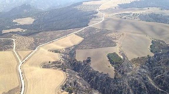 Más de 10.000 hectáreas quemadas por el incendio de Quesada